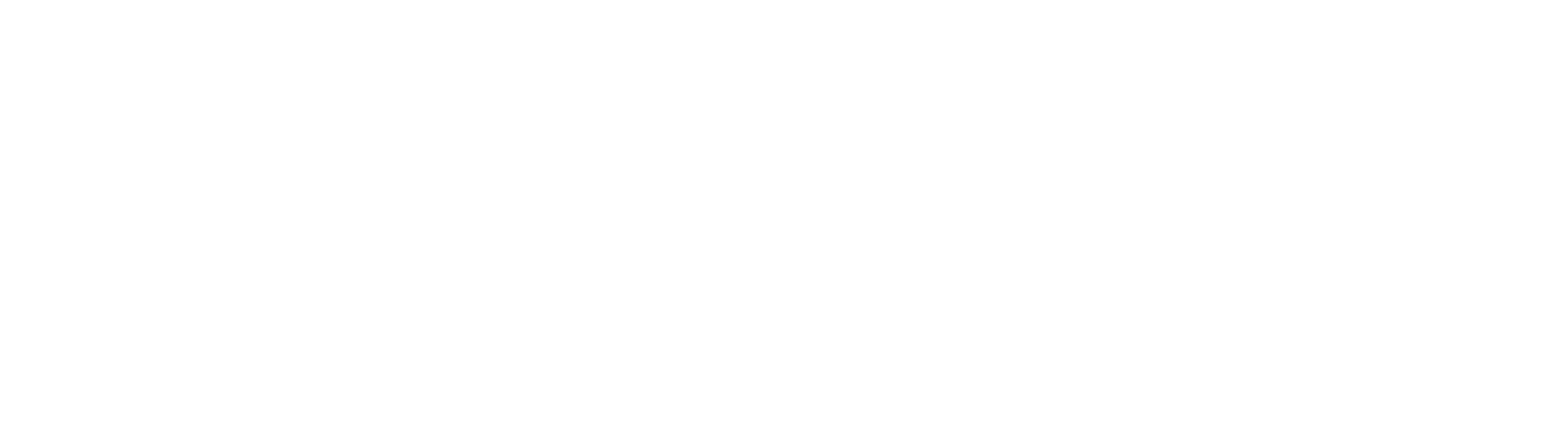 NewFort